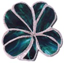 16CLVSGcolorfourleafclover2S.jpg
