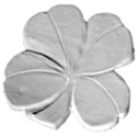 16CLVcloverS.jpg