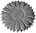 16sunsunflowerS.jpg