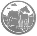 18MCMareColtS.jpg