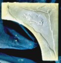 Slate Interlock Crone  - Concrete Paver Mold