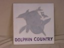 3560DolphinCountryS.jpg