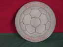 3571SoccerFanaticSteppingStoneS.jpg