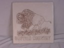 3578BuffaloCountryS.jpg