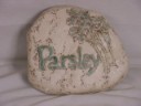 3821ParsleyS.jpg