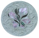 CD121fantasyS.jpg