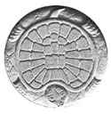 CD50TURTLES.jpg
