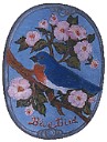 CD71COLOR_BLUEBIRD_OVALS.jpg