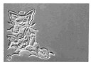 CD811KittensS.jpg