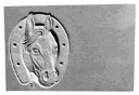 CD841FlatHorseS.jpg