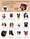 DogDecalsABS.jpg