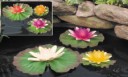 Floating Lily Lights orange/Lavender/Red