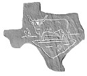 TexasBullS.jpg