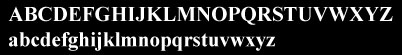 Times New Roman