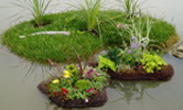 garden_pic.jpg