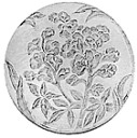 cd103bluebonnetS.jpg