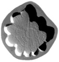 Cypress Log end-Concrete Stepping Stone Mold  -23 in. x 21 in.