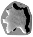 Cypress Log end- Concrete Stepping Stone Mold - 25 in. x 25 in.