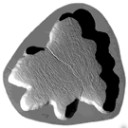Cypress  log  end- Concrete Stepping Stone Mold- 24 in. x 22 in.