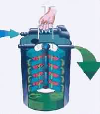filtoclear1.jpg
