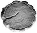 Log End 14 - Concrete Stepping Stone  Mold