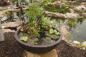Patio_Ponds_Step3_Enjoy.gif