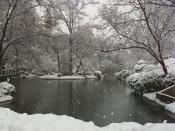 winterpond.jpg