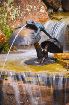98513.gif