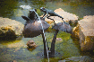 98519.gif