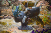 98520.gif