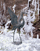 98531.gif