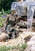 98535.gif