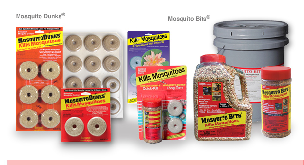What Kills Mosquito Larvae In Standing Water Natural Organic What Kills Mosquito Larvae In Standing Water Natural Organic