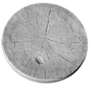 Sycamore Slice - Concrete Stepping Stone  Mold