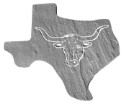 texaslonghornS.jpg