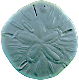 Concrete Stepping Stone Molds Sand Dollars Seabed Sea Gulls Sand Dollar Concrete Stepping Stone Mold