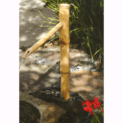 Bamboo Traditional Spout & Pump Kit 36