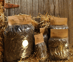 Bag OBarley 4-oz. Single