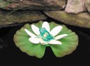 Floating Lily Light with Frog