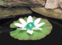 Floating Lily Light with Turtle