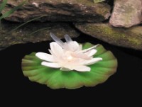 Floating Lily Light with Dragonfly