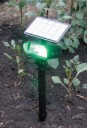 Green Spotlight 8-Led