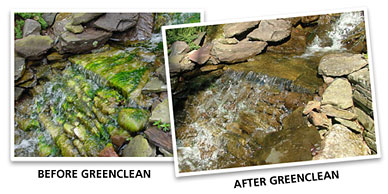 greenclean_beforeafter.jpg