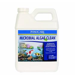 PondCare Microbial Algae Clean 32-oz.
